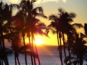 Discovering the Best of Hawaii: A Guide