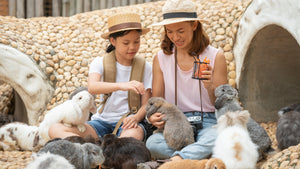 Family Activities for Kids Who Love Animals