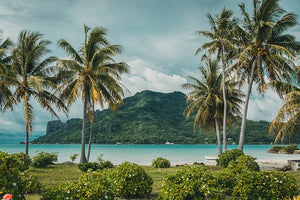 Backpacking Through Polynesia: A Guide for the Adventurous Traveler