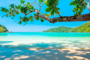 Island Life: A Tropical Paradise