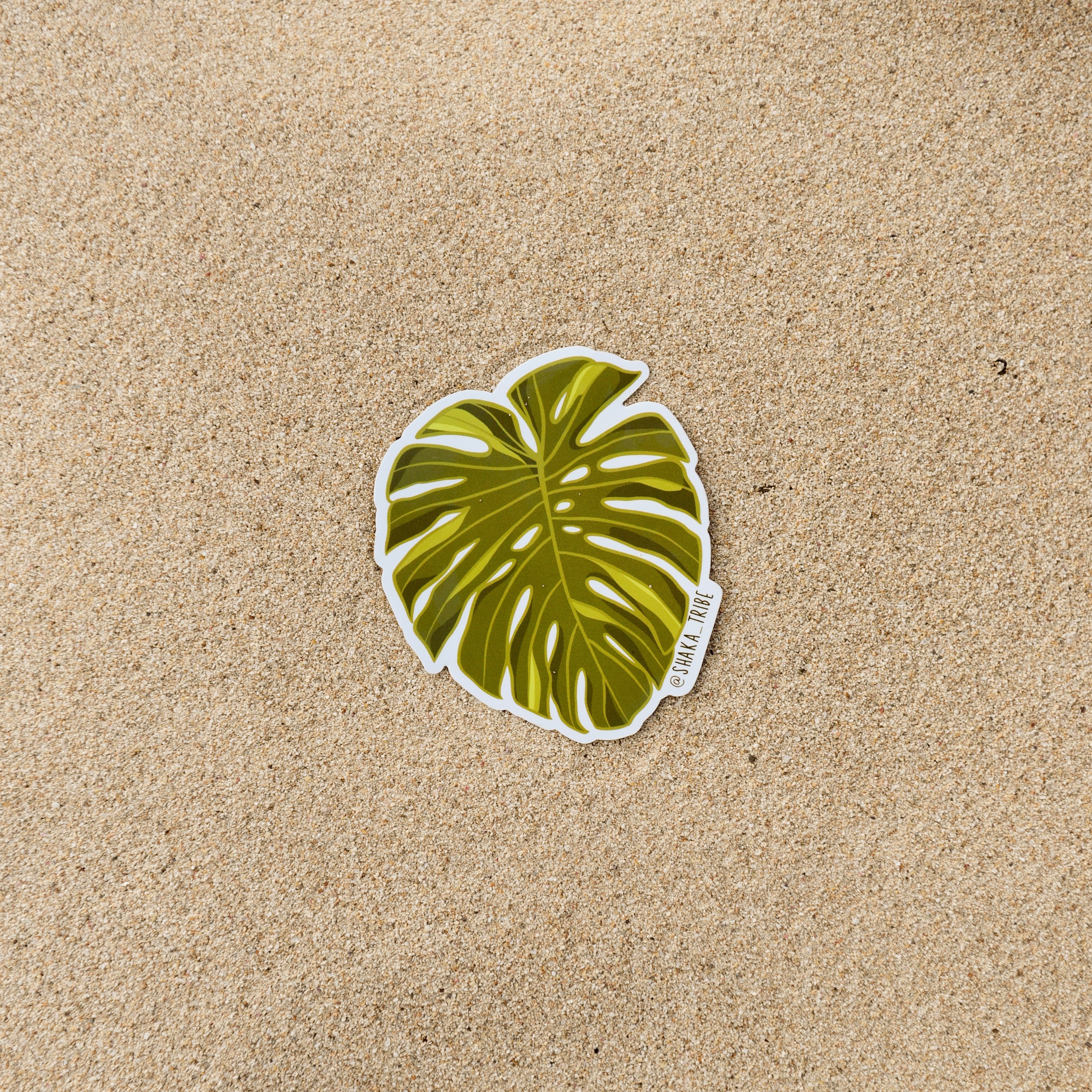 Monstera Leaf Sticker | Sticker